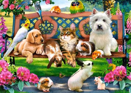 Mascotas en el Parque