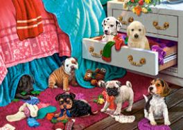 Cachorros en la habitacion