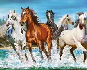 Llamado de la Naturaleza