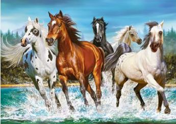 Llamado de la Naturaleza