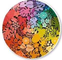 Círculo de Colores - Tropical