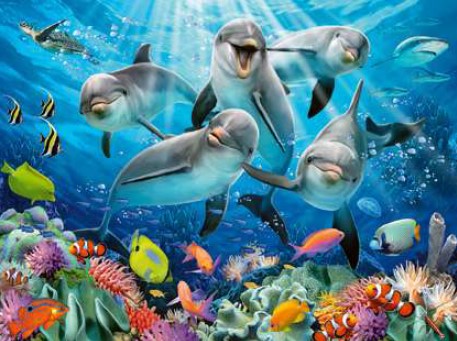 Delfines en el arrecife de coral