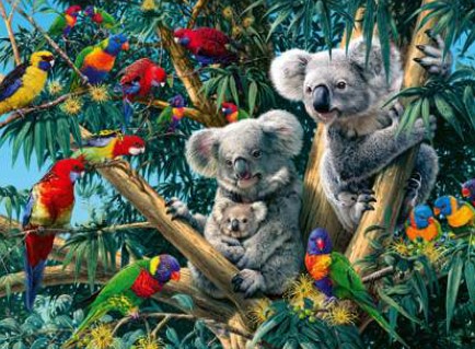 Koalas en un árbol