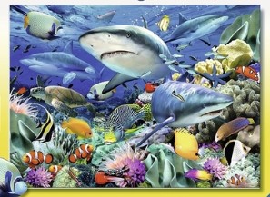 Arrecife de tiburones