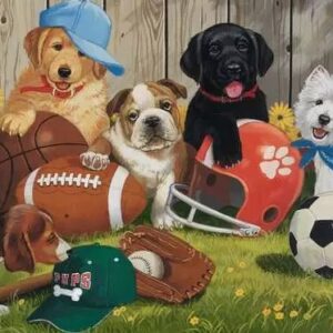 Vamos a jugar a la pelota