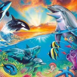 Vida Silvestre Del Océano